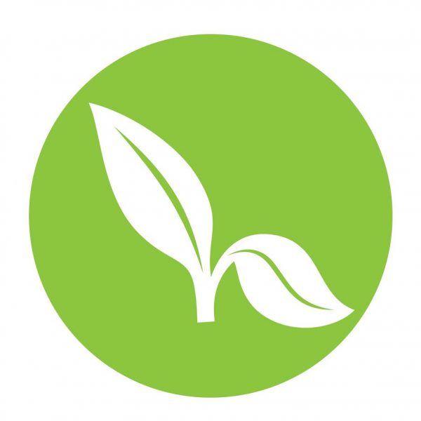 flat leaf icon